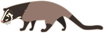 福井の害獣駆除は福井駆除センターへ！豊富な経験で培った安全確実な害獣駆除技術と福井県内最安の料金で、お客様に安心のサービスをお届けいたします。害獣駆除のことなら何でもぜひお任せ下さい。