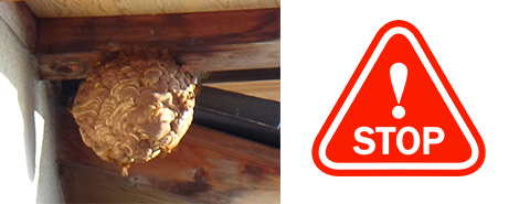 市販の駆除スプレーでのご自分での対処は非常に危険です。絶対にお止めください。｜福井の蜂駆除・蜂の巣駆除は福井駆除センターへ！豊富な経験で培った安全確実な蜂駆除・蜂の巣駆除技術と福井県内最安の料金で、お客様に安心のサービスをお届けいたします。蜂駆除、蜂の巣駆除のことなら何でもぜひお任せ下さい。